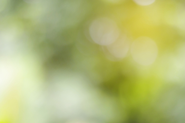 포토 JPG 해외이미지 나무 템플릿 디자인 계절 종이 백그라운드 컨셉 잎 패턴 자연 벽지 추상 미술 경사 사람없음 그래픽 장식 초록색 여름 빛 컬러풀 뷰티 우주 맑음 페인트 소프트포커스 질감 보케 부드러움 녹색배경 내추럴 블러 효과 해외포토 식물 컬러 무늬 날씨 문화예술 촬영기법 감각 생태계 파일형식 이미지허브