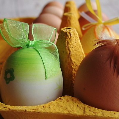 포토 JPG 해외이미지 전통 계절 행복 음식 백그라운드 자연 휴가 부활절 사람없음 장식 초록색 컬러풀 계란 봄 수확 흰색 축하 그리기 널 심볼 질감 복고 내추럴 파스텔톤 해외포토 기념일 감정 컬러 컨셉 농업 모션 알 생태계 파일형식 이미지허브