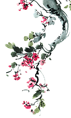 포토 JPG 해외이미지 나무 식물 전통 계절 꽃잎 꽃 줄기 꽃무늬 일러스트 자연 수채화 미술 동양인 사람없음 여름 뷰티 정원 일본 중국 벚꽃 나뭇가지 붓 체리 그림 동쪽 자두 고립 핸드메이드 해외일러스트 아시아 무늬 과일 문화예술 인종 방향 생태계 파일형식 이미지허브