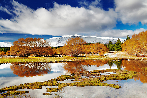 포토 JPG 해외이미지 나무 계절 호수 섬 여행 자연 하늘 새로움 산 파노라마 사람없음 야외 물 파란색 반사 노란색 환경 거울 숲 언덕 알프스 뉴질랜드 남쪽 산악지대 생태학 눈내림 해외포토 자연요소 식물 교육 유럽 컬러 컨셉 눈_날씨 촬영기법 오세아니아 방향 생태계 파일형식 이미지허브