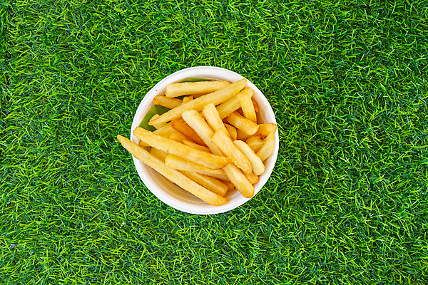 포토 JPG 해외이미지 실내 잔디 사람없음 감자튀김 담기 해외포토 식물 모션 감자 내부 튀김 파일형식 이미지허브