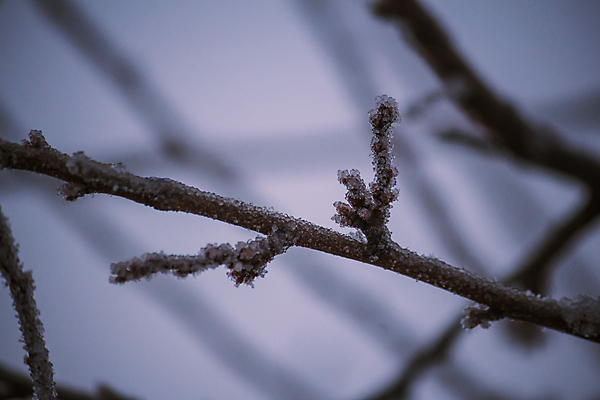 포토 JPG 해외이미지 나무 식물 겨울 자연 하늘 추상 이벤트 사람없음 야외 물 냉동 얼음 새벽 추위 물방울 나뭇가지 풍력에너지 떨어짐 이슬 서리 빙산 고드름 대야 엔진 해외포토 자연요소 계절 컨셉 무늬 그린에너지 생태계 파일형식 이미지허브