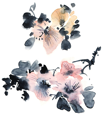 포토 JPG 해외이미지 꽃잎 꽃 줄기 일러스트 캘리그라피 붓터치 수채화 수묵화 미술 사람없음 나뭇가지 동양화 번짐 해외일러스트 나무 식물 문화예술 파일형식 효과 이미지허브