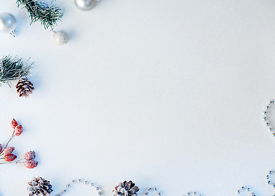 포토 JPG 해외이미지 나무 계절 크리스마스 겨울 공 추상 휴가 새로움 새해 프레임 사람없음 장식 빨간색 파란색 추위 흰색 나뭇가지 축하 신용카드 눈송이 연도 해외포토 식물 기념일 컬러 컨셉 무늬 눈_날씨 금융 파일형식 이미지허브