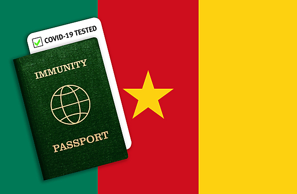 포토 JPG 해외이미지 여행 컨셉 교통시설 휴가 건강 안전 사람없음 글로벌 약 건강관리 바이러스 국기 보호 질병 예방 문서 여권 증거 통과 면역력 백신 신분증 전염병 제어 증명서 카메룬 해외포토 교통 의학 아프리카 관리 시설 파일형식 이미지허브