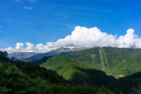 포토 JPG 해외이미지 나무 여행 백그라운드 자연 하늘 산 사람없음 초록색 파란색 러시아 지역 해외포토 식물 유럽 컬러 생태계 파일형식 이미지허브