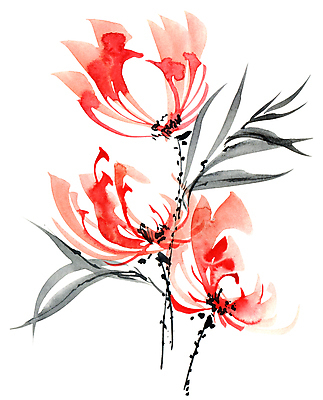 포토 JPG 해외이미지 꽃잎 꽃 줄기 분홍색 꽃다발 일러스트 캘리그라피 붓터치 국화 수묵화 미술 사람없음 덮개 인사 동양화 번짐 초대 양귀비 해외일러스트 식물 컬러 문화예술 뚜껑 예절 파일형식 효과 이미지허브