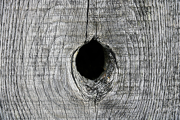 포토 JPG 해외이미지 도로 벽 백그라운드 패턴 자연 벽지 표면 날씨 바닥 사람없음 건물 목재 울타리 갈색 재활용 회색 수확 시골 시간 판넬 구멍 거친 널 작음 묘사 질감 복고 흙더미 내추럴 찌그러짐 석회암 수목 옛날 콘크리트 화강암 해외포토 나무 건축물 길 컬러 컨셉 무늬 농업 재료 교통시설 담장 흙 암석 크기 친환경 생태계 파일형식 더미 이미지허브