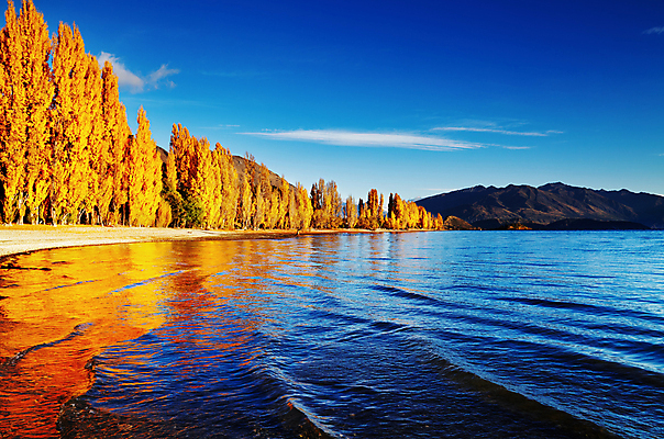 포토 JPG 해외이미지 나무 계절 공원 호수 섬 여행 자연 하늘 아침 새로움 산 사람없음 야외 물 파란색 컬러풀 반사 노란색 환경 맑음 황금 뉴질랜드 남쪽 해외포토 주간 자연요소 식물 공공시설 컬러 컨셉 날씨 오세아니아 방향 생태계 파일형식 이미지허브