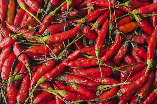 포토 JPG 해외이미지 식물 음식 채소 오렌지 재료 자연 고추 건강 요리 사람없음 빨간색 초록색 컬러풀 주방 식사 신선 뜨거움 양념 그룹 정상 향신료 유기농 질감 매움 날것 후추 고립 숙성 채식주의자 비건 해외포토 웰빙 컬러 과일 맛 생태계 채식 향미료 파일형식 이미지허브