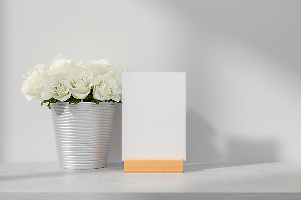 포토 JPG 해외이미지 꽃 화분 종이 프레임 사람없음 흰배경 목업 해외포토 식물 백그라운드 흰색 파일형식 이미지허브