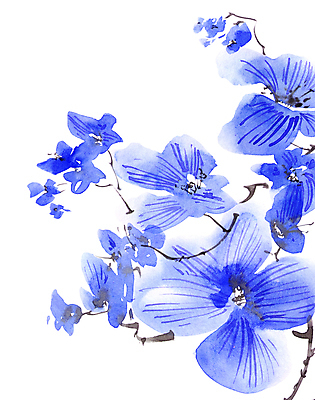 포토 JPG 해외이미지 꽃잎 꽃 일러스트 캘리그라피 붓터치 수묵화 미술 사람없음 파란색 동양화 번짐 해외일러스트 식물 컬러 문화예술 파일형식 효과 이미지허브