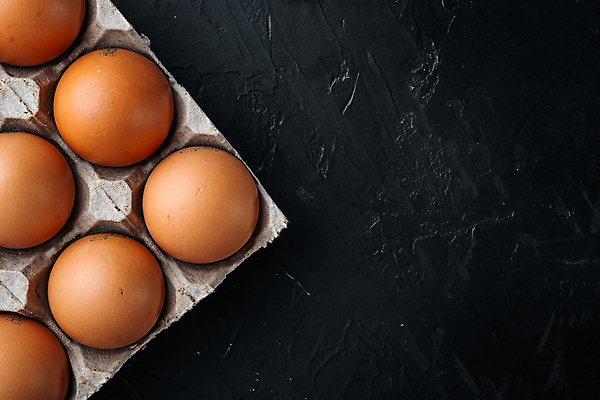 포토 JPG 해외이미지 음식 식재료 사람없음 하이앵글 계란 계란판 카피스페이스 해외포토 뷰포인트 알 공백 파일형식 이미지허브