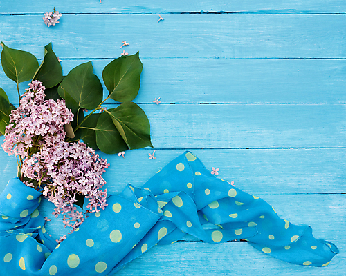 포토 JPG 해외이미지 식물 계절 꽃잎 꽃 분홍색 꽃다발 꽃무늬 자연 사랑 사람없음 목재 장식 컵 초록색 정원 맑음 보라색 봄 벚꽃 나뭇가지 축하 신선 고급 우아함 다발 보케 라일락 블러 어머니의날 해외포토 나무 식기 기념일 감정 컬러 컨셉 무늬 재료 날씨 생태계 미국문화 파일형식 이미지허브