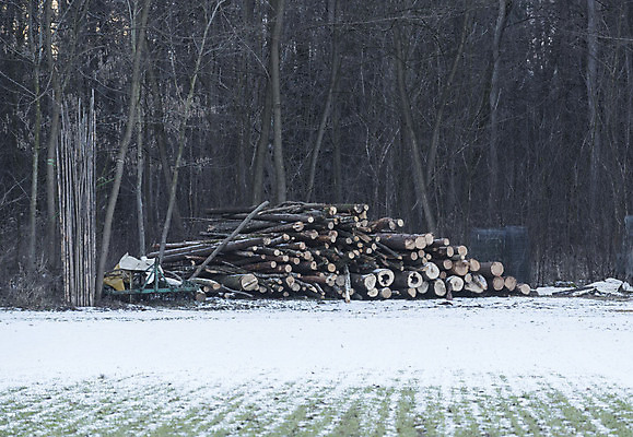 포토 JPG 해외이미지 나무 계절 겨울 날씨 사람없음 목재 경제 쌓기 재활용 에너지 추위 목수 생태계 연료 수납 유지 벌목 이산화탄소 겨울풍경 해외포토 식물 직업 재료 모션 풍경 친환경 파일형식 이미지허브