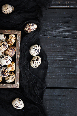 포토 JPG 해외이미지 식재료 검은배경 실내 사람없음 하이앵글 나무상자 담기 메추리알 나무배경 해외포토 뷰포인트 백그라운드 모션 내부 상자 알 검은색 파일형식 이미지허브