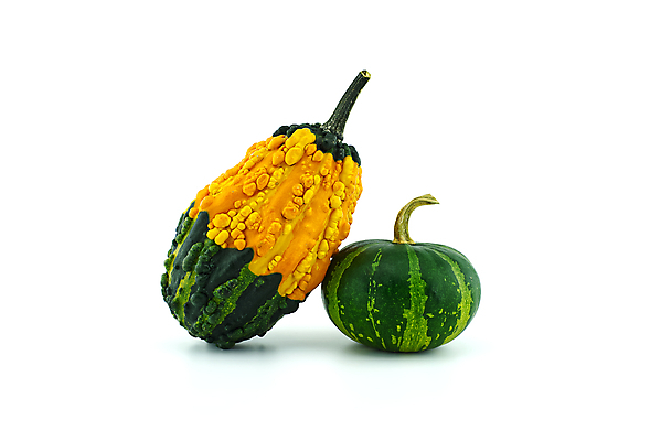 포토 JPG 해외이미지 식물 계절 음식 줄기 백그라운드 농업 채소 오렌지 과일 재료 자연 호박 휴가 건강 사람없음 장식 초록색 컬러풀 농장 노란색 정원 축제 할로윈 수확 가을 흰색 시골 신선 11월 심볼 오브젝트 유기농 날것 박 추수감사절 스쿼시 10월 내추럴 고립 숙성 채식주의자 해외포토 웰빙 산업 기독교 스포츠 컬러 구기 날짜 생태계 채식 파일형식 이미지허브
