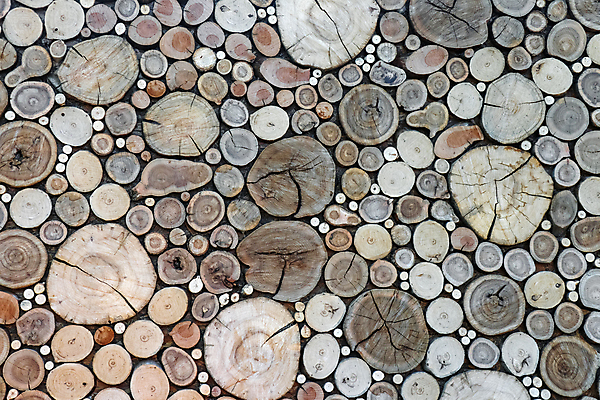 포토 JPG 해외이미지 나무 패턴 자연 불 추상 사람없음 목재 갈색 쌓기 숲 장작 자르기 질감 통나무 나무껍질 잡동사니 수목 해외포토 자연요소 식물 컬러 무늬 재료 모션 껍질 생태계 파일형식 이미지허브