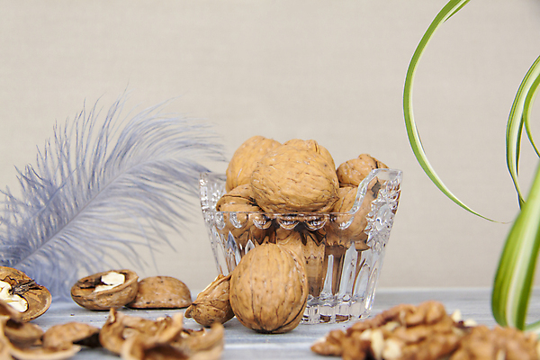 포토 JPG 해외이미지 잎 단면 건조 사람없음 껍질 낟알 알맹이 나무바닥 호두 유리그릇 해외포토 식물 그릇 유리 바닥 견과류 파일형식 이미지허브