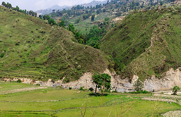 포토 JPG 해외이미지 나무 식물 구름 계절 음식 백그라운드 밭 농업 자연 하늘 풍경 사람없음 야외 초록색 여름 농작물 햇빛 태양 농장 농경지 노란색 환경 맑음 봄 수확 가을 시골 낟알 땅 시리얼 밀 언덕 보리 장면 내추럴 밭일 호밀 수평선 해외포토 자연요소 산업 컬러 날씨 곡류 생태계 파일형식 이미지허브