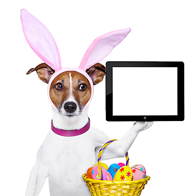 포토 JPG 해외이미지 동물 배너 포스터 인터넷 텍스트 부활절 프레임 사람없음 노트북 반려동물 컴퓨터 터치패드 알약 바구니 우주 디지털 스크린 모니터 계란 공책 공백 터치 잡기 판넬 유머 전자책 개 강아지 테리어 흰배경 반죽 귀 패드 고립 터치스크린 카피스페이스 해외포토 기념일 감정 백그라운드 포유류 모션 문구용품 신체부위 전자제품 약 알 흰색 파일형식 이미지허브