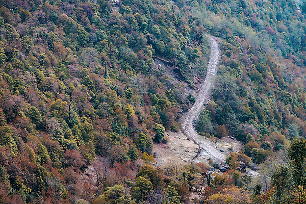 포토 JPG 해외이미지 나무 식물 계절 공원 여행 백그라운드 잎 오렌지 자연 하늘 사람없음 야외 목재 빨간색 초록색 물 빛 컬러풀 햇빛 태양 뷰티 갈색 노란색 환경 맑음 활발 나뭇가지 시골 황금 숲 장면 10월 내추럴 해외포토 자연요소 공공시설 컬러 컨셉 과일 재료 날씨 날짜 생태계 파일형식 이미지허브
