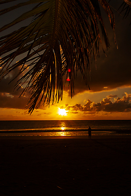 포토 JPG 해외이미지 모래 오렌지 사람없음 야외 여름 꼬리표 썩음 해외포토 계절 과일 라벨 파일형식 이미지허브