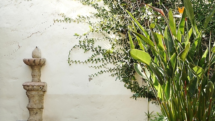 포토 JPG 해외이미지 식물 디자인 백그라운드 단풍 꽃무늬 사람없음 건물 초록색 뷰티 마을 미국 성장 농촌 시골 신선 스페인 지중해 민트 허브 올리브 원예 캘리포니아 교외 스페인어 영원 스타일 카피스페이스 해외포토 건축물 열매 꽃 유럽 바다 컬러 잎 북아메리카 무늬 취미 공백 파일형식 이미지허브