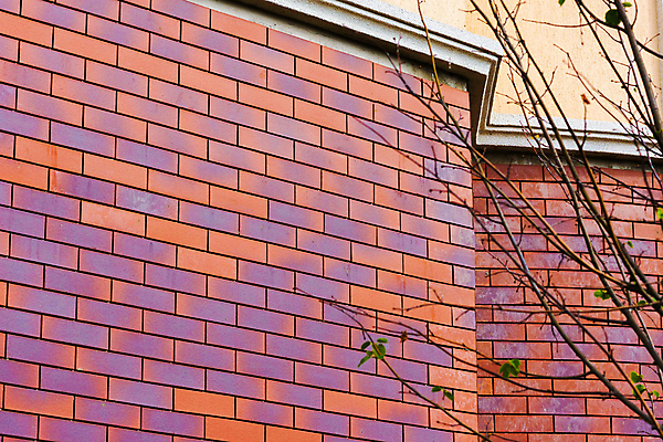 포토 JPG 해외이미지 외관 벽 오렌지 벽돌 주택 돌담 석조 사람없음 야외 내부 건물 장식 갈색 거친 널 타일 질감 시멘트 점토 내추럴 마무리 옛날 콘크리트 해외포토 건축물 컬러 과일 담장 돌_바위 파일형식 이미지허브