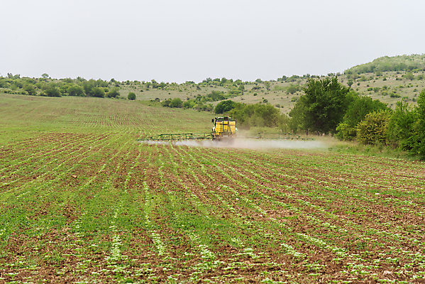 포토 JPG 해외이미지 식물 계절 산업 밭 농업 자연 하늘 옥수수 사람없음 야외 목재 빨간색 초록색 물 파란색 농작물 햇빛 농장 노란색 마을 맑음 기계 일몰 장비 운전 수확 시골 농부 땅 밀 스프레이 장면 분무기 트랙터 거름 밭일 생태학 세련 해외포토 자연요소 나무 직업 교육 컬러 재료 모션 날씨 곡류 태양 노을 농기계 생태계 특수차량 파일형식 이미지허브