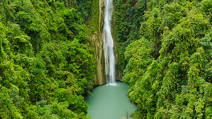 포토 JPG 해외이미지 나무 여행 잎 자연 산 사람없음 야외 목재 초록색 물 강 환경 봄 폭포 흐름 신선 개울 숲 열대우림 조감도 파라다이스 해외포토 자연요소 식물 계절 컬러 컨셉 재료 생태계 파일형식 이미지허브