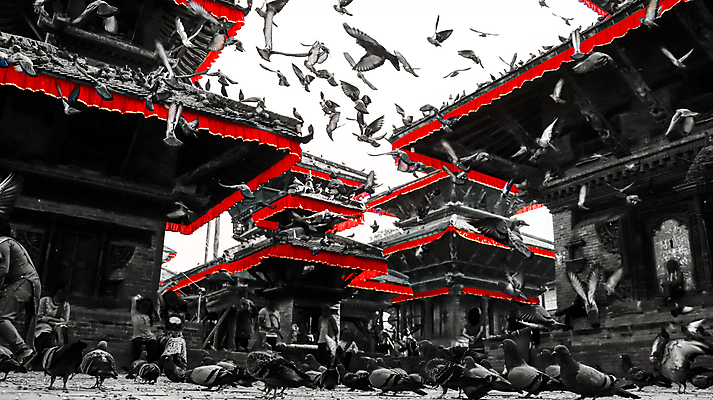 포토 JPG 해외이미지 동물 실루엣 야생동물 백그라운드 날개 자연 조류 하늘 사람없음 야외 빨간색 자유 흰색 그룹 비둘기 네팔 카트만두 해외포토 아시아 컬러 컨셉 촬영기법 생태계 파일형식 이미지허브