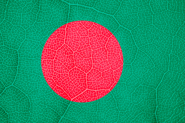 포토 JPG 해외이미지 나무 식물 선 백그라운드 잎 곡선 자연 바람 추상 세포 사람없음 가로 황혼 경쟁 자유 성장 깃발 액체 닫기 떨어짐 민주주의 대륙 질감 부드러움 시트 애국심 빛망울 강렬 광 독립 전국 정부 해외포토 자연요소 컨셉 무늬 모션 날씨 빛 일몰 감각 생태계 파일형식 이미지허브