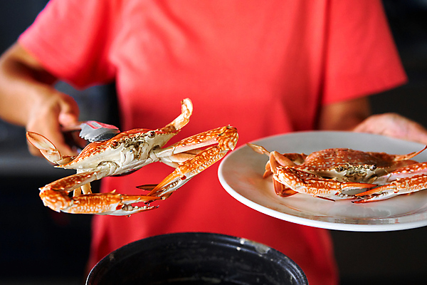 포토 JPG 해외이미지 동물 라이프스타일 접시 손 음식 바다 백그라운드 조개 육류 갑각류 어류 요리 사람없음 빨간색 파란색 식당 식사 저녁식사 게 껍질 흰색 신선 잡기 뜨거움 시장 맛 냄비 큼 먹기 해산물 준비 날것 점심식사 끓이기 삶기 집게발 해외포토 식기 컬러 컨셉 식재료 모션 어패류 생활 신체부위 상점 수중동물 솥 크기 파일형식 이미지허브