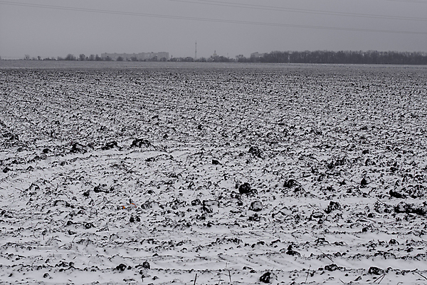 포토 JPG 해외이미지 나무 계절 실루엣 유럽 백그라운드 겨울 밭 농업 비즈니스 자연 하늘 아침 날씨 파노라마 사람 사람없음 야외 가로 파란색 농작물 세계 농장 환경 계곡 힘 추위 수확 흰색 시골 업무 오픈 숲 밀 만취 속도 장면 폭풍 내추럴 밭일 우크라이나 해외포토 주간 식물 나라 산업 컬러 곡류 촬영기법 작업 생태계 술취함 파일형식 이미지허브