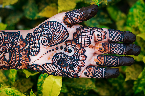 포토 JPG 해외이미지 모델 손 디자인 드레스 여자 문화 결혼 패턴 장신구 결혼식 실내 미술 한명 사람 동양인 성인 사람없음 아웃포커스 신체부위 가로 컬러풀 뷰티 유행 페인트 축하 이슬람교 인도인 문신 피부 네팔 보여주기 라마단 해외포토 외국인 1 옷 아시아 종교 컬러 컨셉 무늬 모션 문화예술 촬영기법 인종 이벤트 내부 파일형식 이미지허브