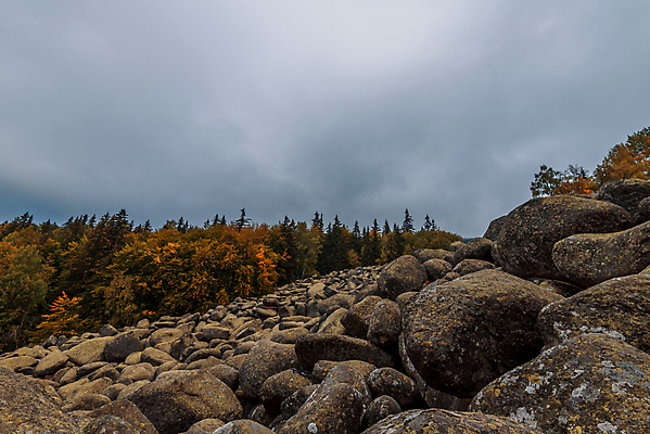 포토 JPG 해외이미지 나무 식물 계절 공원 도로 길 여행 백그라운드 잎 자연 휴가 산 파노라마 경사 사람없음 야외 목재 컬러풀 뷰티 여행객 귀여움 계곡 시골 숲 언덕 시력 10월 내추럴 산악지대 삼림지대 해외포토 공공시설 컬러 컨셉 재료 교통시설 촬영기법 사람 날짜 생태계 파일형식 이미지허브