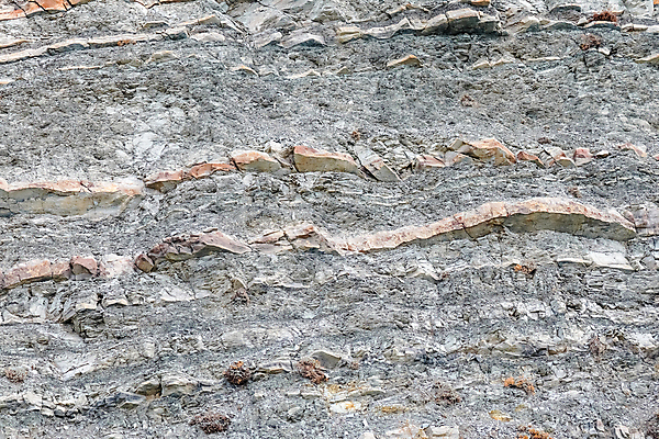 포토 JPG 해외이미지 식물 디자인 벽 백그라운드 건축양식 표면 날씨 추상 사람없음 가로 보라색 어둠 블록 회색 수확 골동품 성장 조약돌 거친 닫기 큼 버리기 묘사 질감 찌그러짐 고체 구식 그런지 깨짐 존재 중고 카피스페이스 해외포토 건축 컬러 컨셉 무늬 농업 모션 공백 돌_바위 크기 파일형식 이미지허브