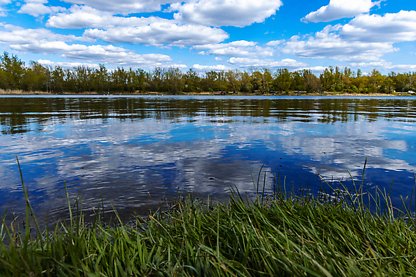 포토 JPG 해외이미지 나무 응시 공원 유럽 호수 여행 자연 하늘 사람없음 야외 초록색 물 파란색 빛 햇빛 태양 반사 환경 맑음 숲 작음 큼 폴란드 내추럴 브로츠와프 해외포토 자연요소 식물 시선 공공시설 나라 컬러 날씨 크기 생태계 파일형식 이미지허브