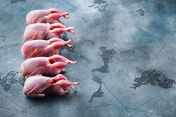 포토 JPG 해외이미지 식재료 회색배경 실내 생고기 육류 사람없음 일렬 메추리 카피스페이스 해외포토 백그라운드 내부 공백 회색 파일형식 이미지허브