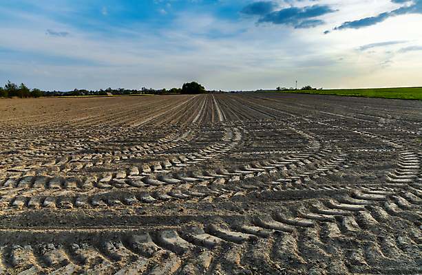 포토 JPG 해외이미지 식물 계절 꽃 유럽 줄기 꽃무늬 밭 농업 자연 하늘 씨앗 사람없음 야외 초록색 농장 농경지 노란색 봄 수확 성장 벚꽃 시골 개화 작음 유채 트랙 트랙터 폴란드 내추럴 브로츠와프 카놀라 해외포토 나라 산업 컬러 무늬 크기 농기계 생태계 특수차량 파일형식 이미지허브