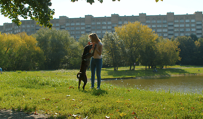 포토 JPG 해외이미지 동물 공원 여자 행복 운동화 자연 놀이 함께함 사랑 한명 사람 야외 초록색 친구 반려동물 운동 걷기 귀여움 맑음 기쁨 개 만족 주인 돌봄 복종 충실 해외포토 1 공공시설 감정 컬러 신발 컨셉 포유류 관계 모션 날씨 건강 생태계 파일형식 이미지허브