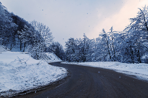 포토 JPG 해외이미지 나무 도로 겨울 자연 사람없음 야외 눈 가로수 해외포토 자연요소 식물 계절 길 교통시설 날씨 생태계 파일형식 이미지허브