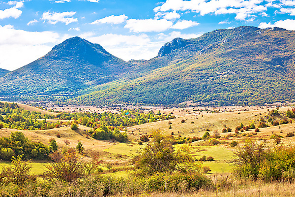 포토 JPG 해외이미지 나무 식물 도로 밭 오렌지 자연 하늘 산 파노라마 사람없음 야외 초록색 파란색 노란색 평화 환경 시골 황무지 땅 언덕 장면 지역 크로아티아 스텝 절정 해외포토 유럽 길 컬러 컨셉 농업 과일 교통시설 촬영기법 생태계 파일형식 이미지허브