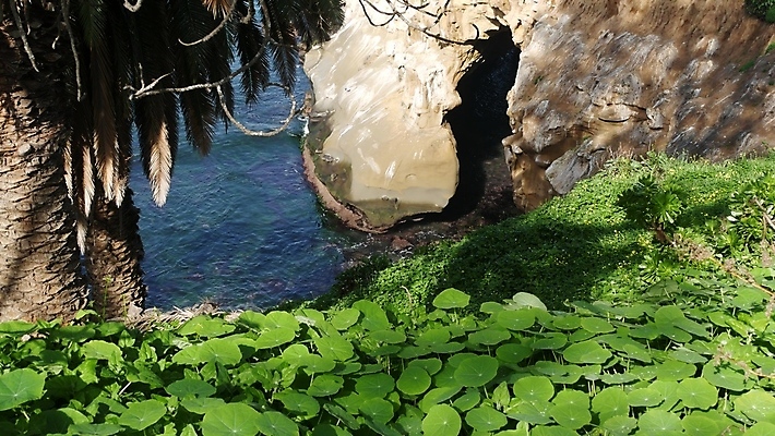 포토 JPG 해외이미지 파도 단풍 경사 사람없음 파란색 관광지 야자수 햇빛 미국 바위 신선 만 구멍 서핑 수면 동굴 환경보전 부식 그림 아치 캘리포니아 태평양 사암 석호 서쪽 열대기후 지질학 해외포토 나무 교육 바다 컬러 여행 잎 북아메리카 물 태양 돌_바위 수상스포츠 방향 사회이슈 파일형식 이미지허브