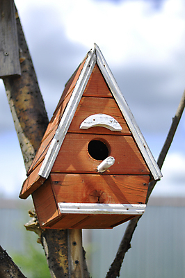 포토 JPG 해외이미지 나무 손 계절 공원 야생동물 음식 백그라운드 자연 조류 지붕 주택 3 사람없음 야외 목재 장식 초록색 울타리 상자 뷰티 정원 페인트 봄 추위 흰색 하트 시골 구멍 둥지 숲 작음 새장 서식지 내추럴 고립 옛날 핸드메이드 해외포토 모양 식물 동물 공공시설 컬러 재료 건물 신체부위 담장 크기 생태계 케이지 파일형식 이미지허브