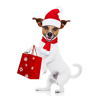 포토 JPG 해외이미지 동물 배너 행복 크리스마스 겨울 가방 휴가 새로움 선물 사람없음 반려동물 쇼핑 산타클로스 꼬리표 판매 세일 상점 놀람 기쁨 방 유머 시장 개 강아지 구매 시원함 가격 12월 쇼핑몰 연도 소매 슈퍼마켓 양모 고립 노엘 매각 쇼퍼홀릭 클라우스 해외포토 잡화 계절 기념일 감정 컨셉 포유류 표정 라벨 직물 날짜 파일형식 이미지허브