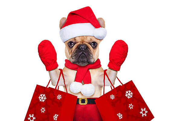포토 JPG 해외이미지 동물 배너 행복 크리스마스 겨울 가방 휴가 새로움 선물 사람없음 반려동물 쇼핑 산타클로스 꼬리표 판매 세일 상점 놀람 기쁨 방 유머 시장 개 강아지 구매 시원함 가격 12월 쇼핑몰 연도 불독 소매 슈퍼마켓 프랑스어 양모 고립 노엘 매각 쇼퍼홀릭 클라우스 해외포토 문자 잡화 계절 기념일 감정 컨셉 포유류 표정 라벨 직물 날짜 파일형식 이미지허브
