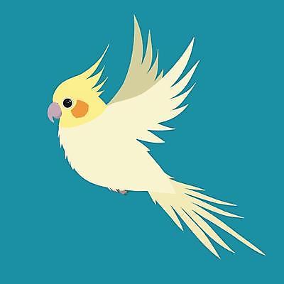 EPS 해외이미지 동물 야생동물 날개 일러스트 자연 조류 반려동물 노란색 회색 자유 흰색 만화 호루라기 스마트 깃털 앵무새 코믹 무료 잉꼬 지능 해외일러스트 컬러 컨셉 생태계 파일형식 벡터 이미지허브