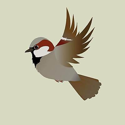 EPS 해외이미지 동물 디자인 실루엣 야생동물 백그라운드 날개 일러스트 자연 조류 미술 그래픽 빨간색 파란색 검은색 자유 흰색 만화 심볼 깃털 비둘기 부리 참새 고립 엘리먼트 해외일러스트 컬러 컨셉 문화예술 촬영기법 생태계 파일형식 벡터 이미지허브